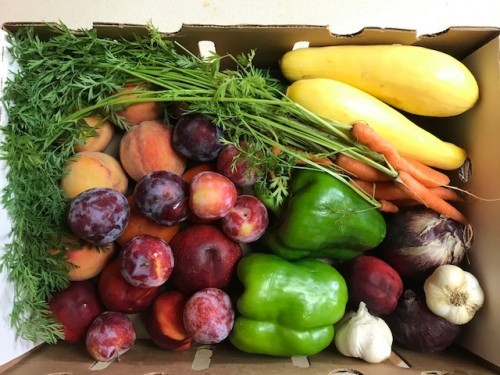 A weekly CSA farm box of fruit and vegetables from Austin Family Farm